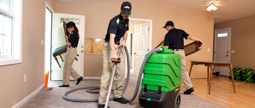 Wheaton, IL cleaning services
